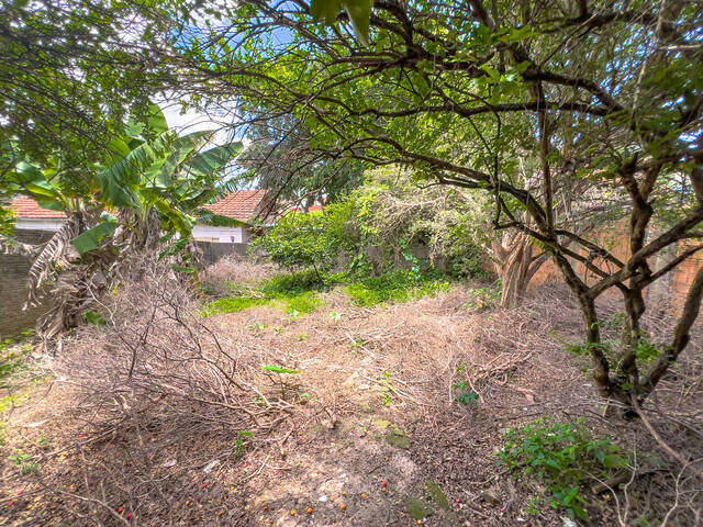 #88 - Casa para Compra em Botucatu - SP - 3