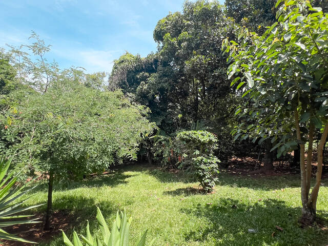 Chácara para Compra em Botucatu - 5